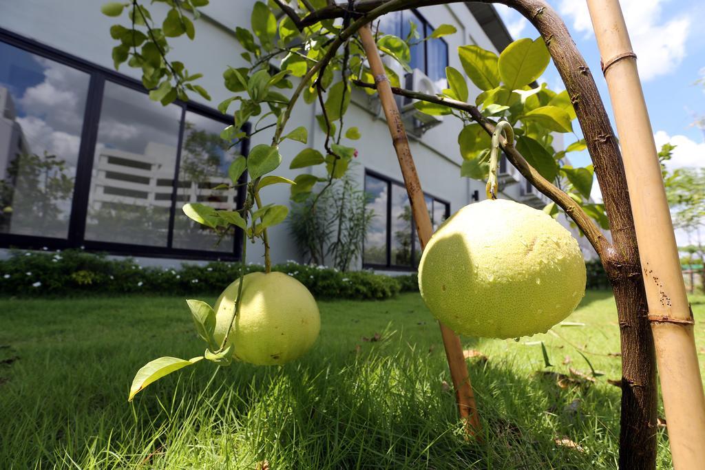 S Ratchada Leisure Hotel - SHA PLUS Bangkok Exterior foto Citrus ×sinensis